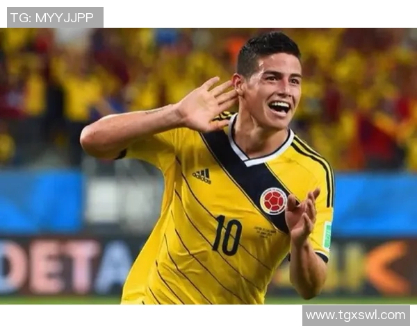 踢过法甲的港澳球员回顾及贡献