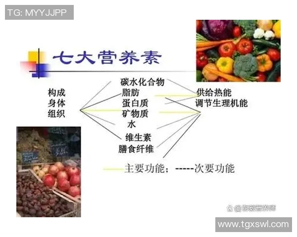 科学健身与营养搭配指南 打造健康体魄的全面攻略