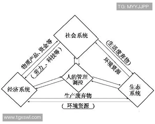 以社会责任为核心推动力探讨新时代企业可持续发展的路径与策略