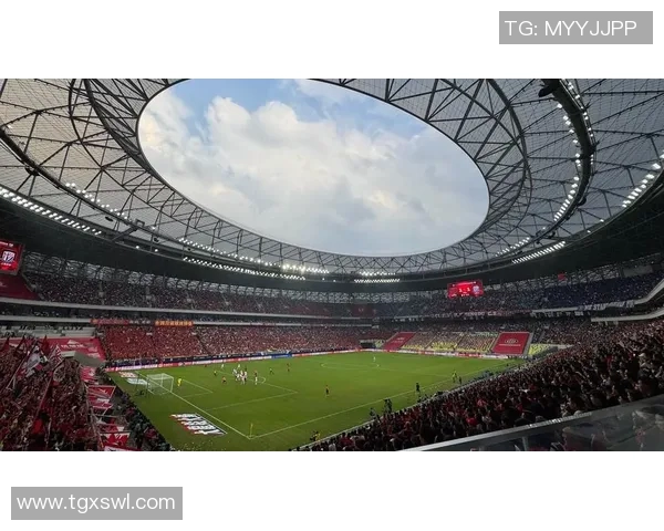 球迷视角：探索体育文化中的激情与情感纽带